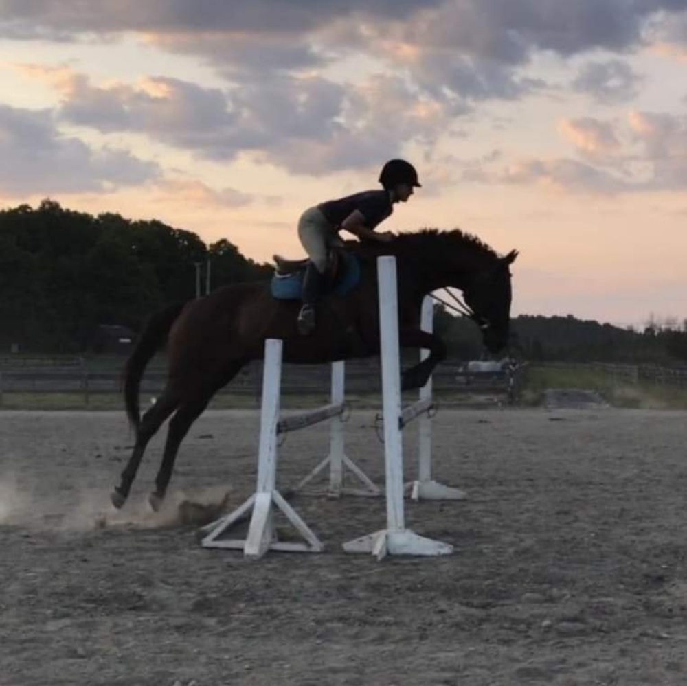 Meet your Posher, Abby